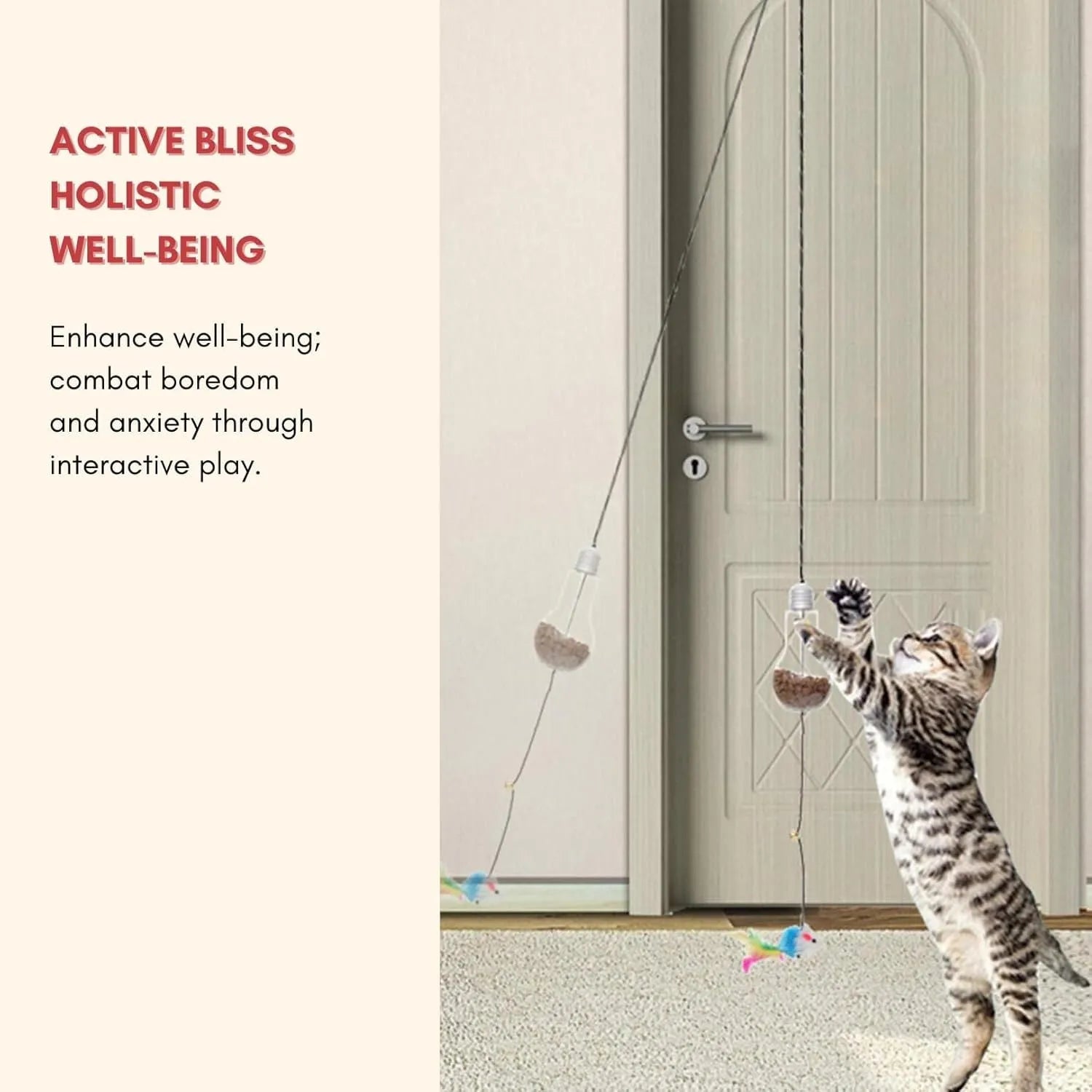 Interactive cat toy hanging from door frame with dangling mouse and chicken toys on elastic rope