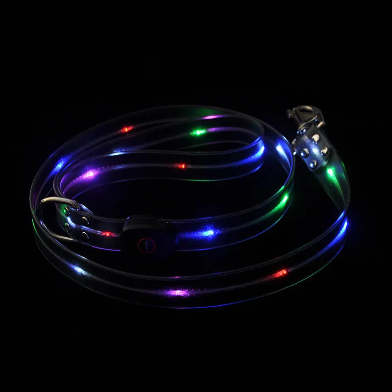 Luminous dog collar and colourful PVC pet leash in fluorescent green, showing hand-held rope section.