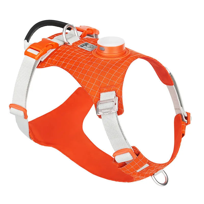 Adjustable dog chest harness with LED night light attachment in multiple colour options