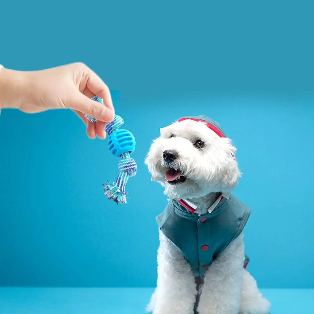 Blue dog chew toy with molar shape and attached rope for dental care.