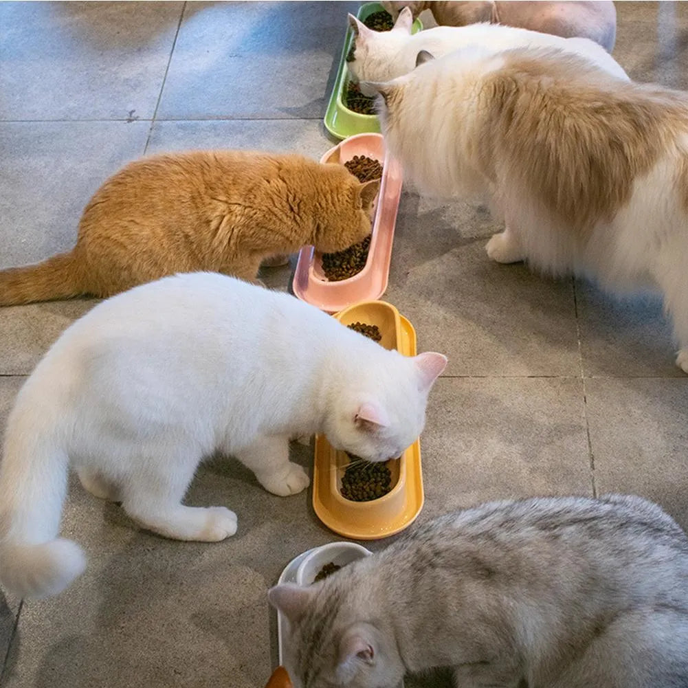 Green pink yellow pet food water feeder with stainless steel bowls and leakproof silicone mat
