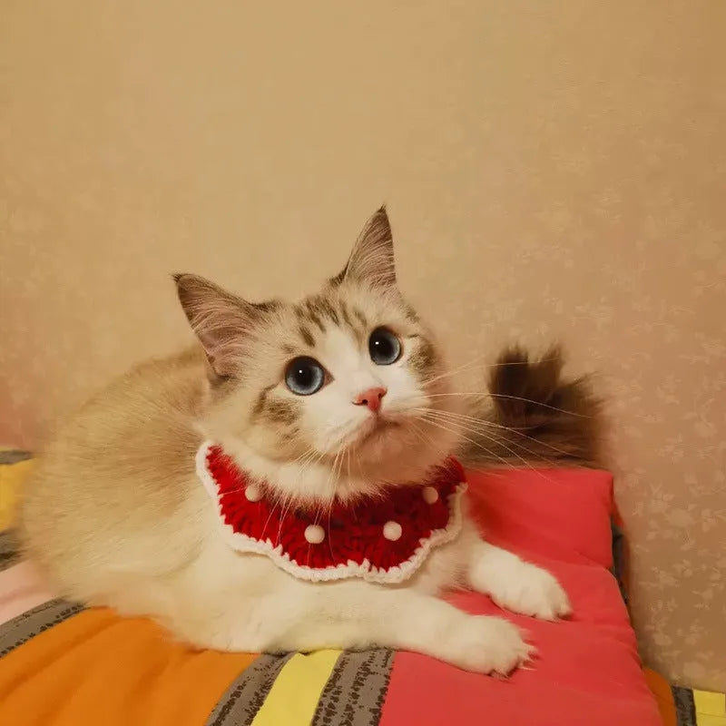 Cartoon-patterned wool knitted collar for small pets in milk cotton on a grey background.