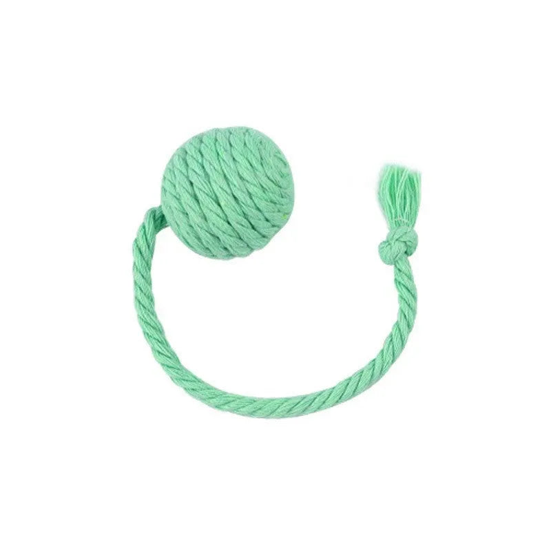 Colourful cat toy ball with rope and built-in bell available in green pink purple yellow for kittens