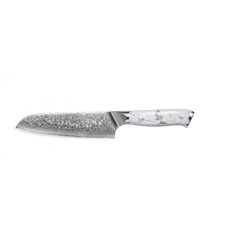 Damascus pattern chef's knife with 21cm VG10 steel blade and 11cm handle showing Japanese knife construction