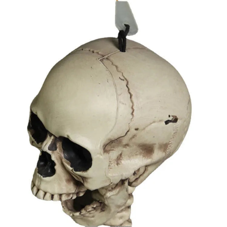 170cm tall plastic skeleton prop with detailed skull and full bone structure