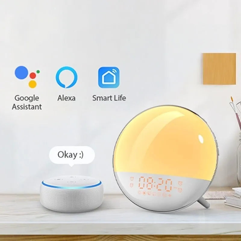 E20 wood grain basic sunrise alarm clock with USB power and night light on a table