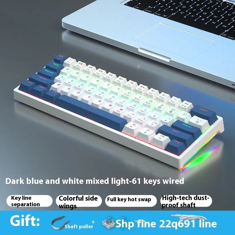 61-key mechanical keyboard with blue and white colour scheme and compact design