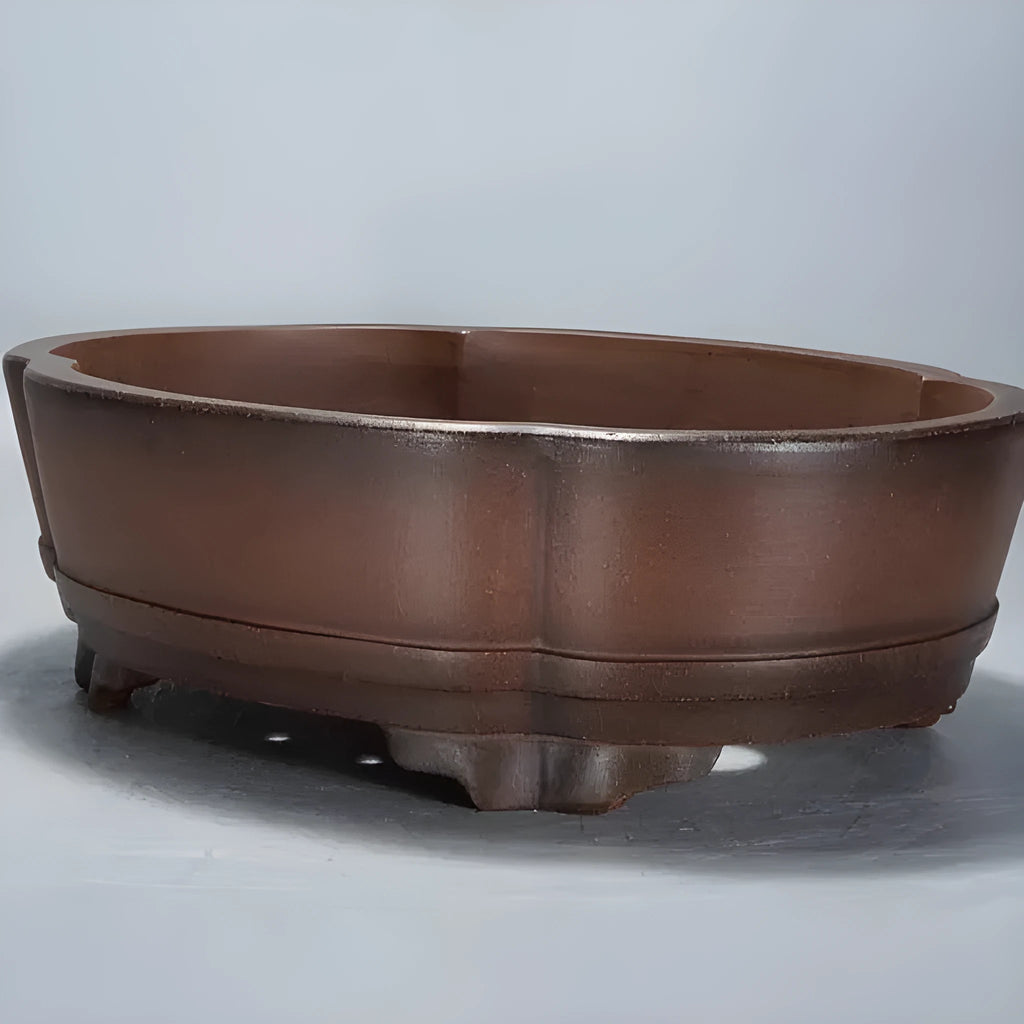 Classical purple clay flower pot for gardening with green plant old pile finish