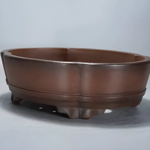 Classical purple clay flower pot for gardening with green plant old pile finish