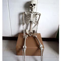 170cm tall plastic skeleton prop with detailed skull and full bone structure