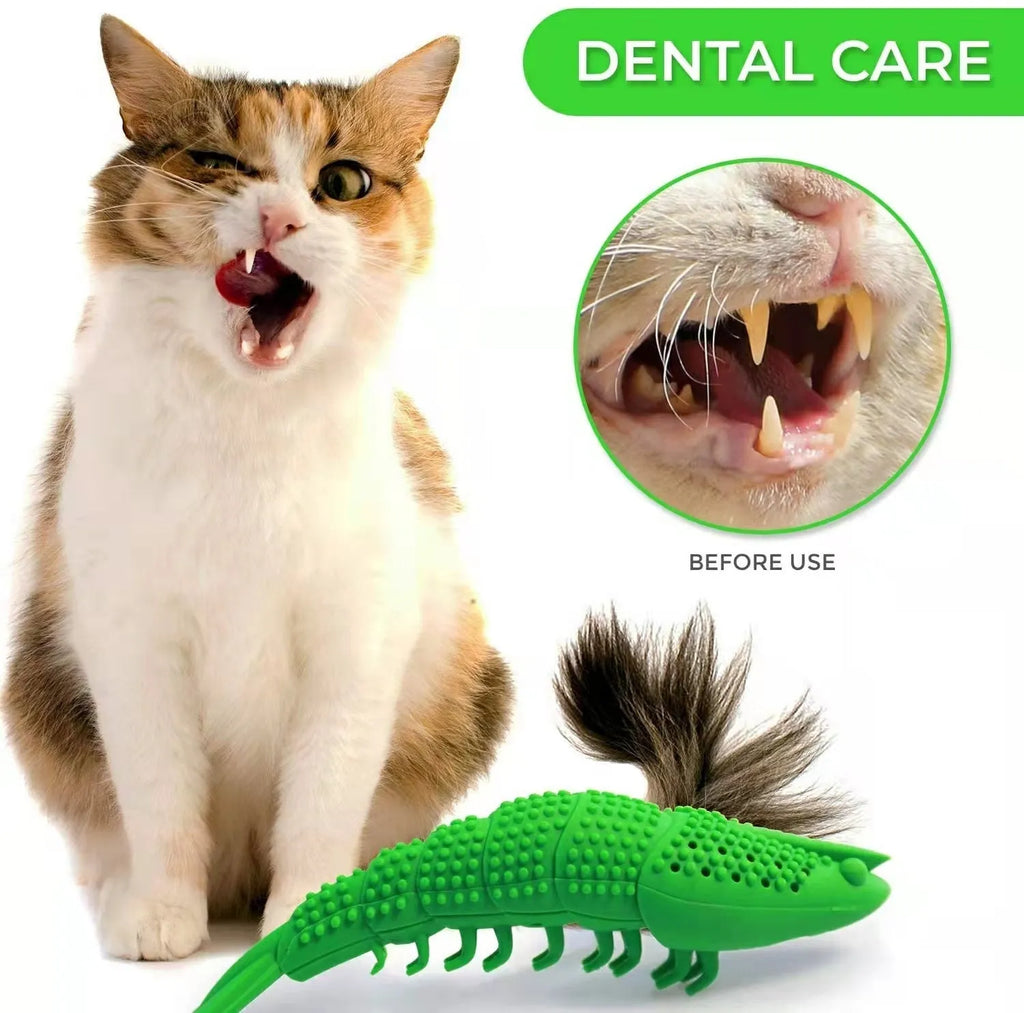 Blue hard rubber cat toy with teeth cleaning texture containing catnip and bell