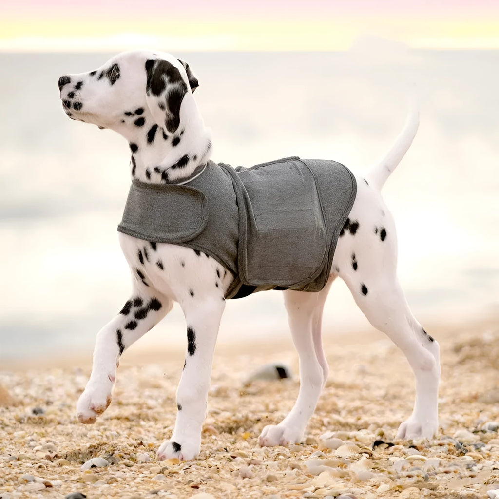 Heather grey dog anxiety vest made from brocade cotton fabric, size L for 12-18kg dogs.