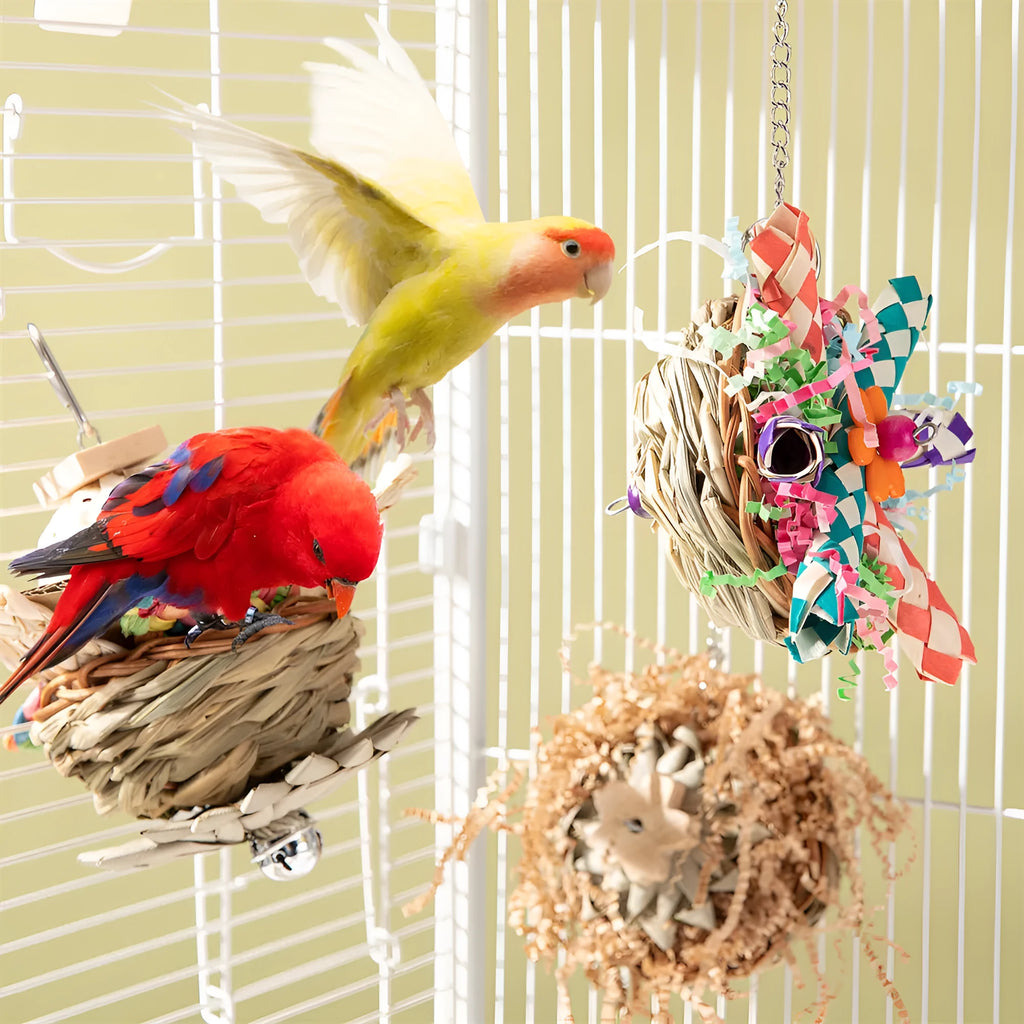 Set of three parrot gnawing molar toys labelled Type A, Type B, and Type C for bird enrichment.