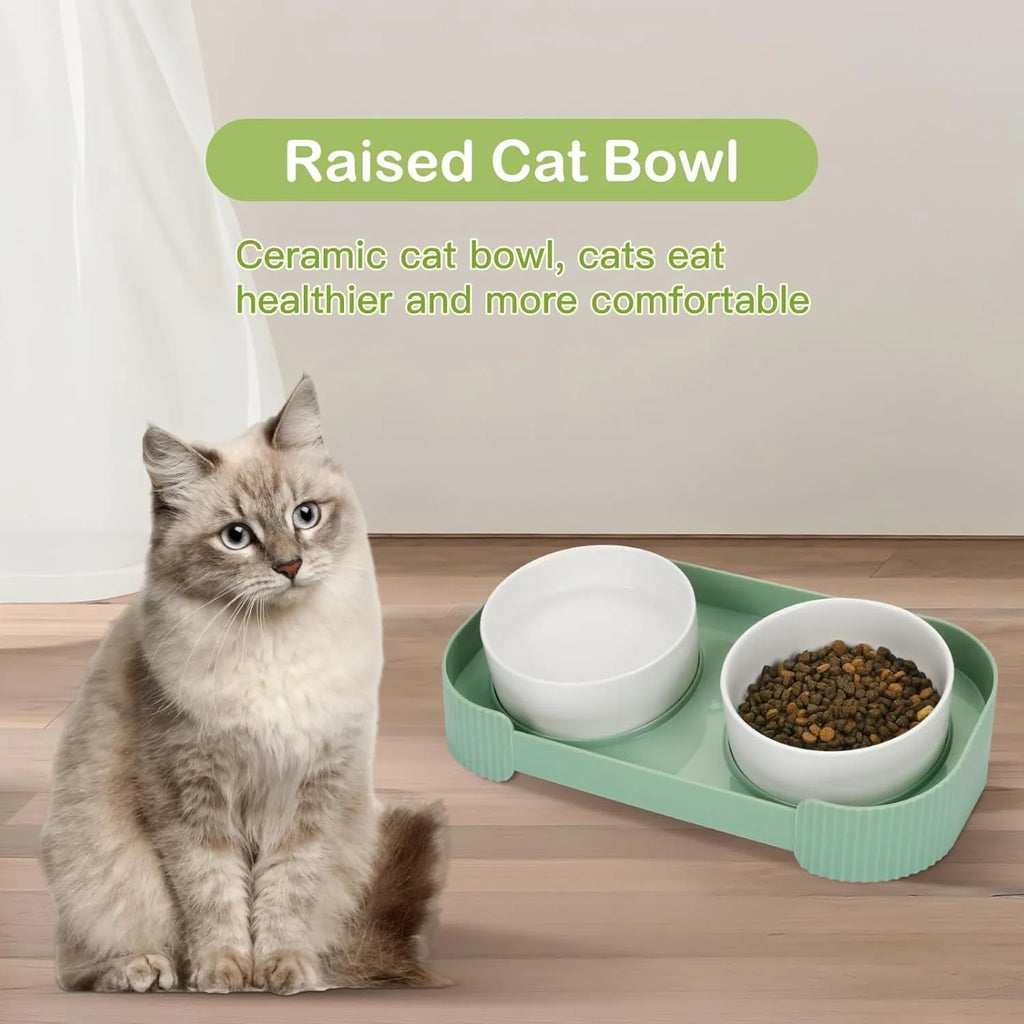Green ceramic raised cat bowls on a tilted stand for anti-vomiting feeding