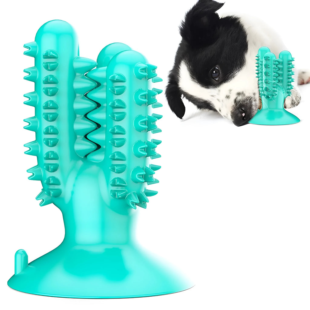 TPR silicone corn dog shaped dog molar toy in cactus lake blue colour on white background