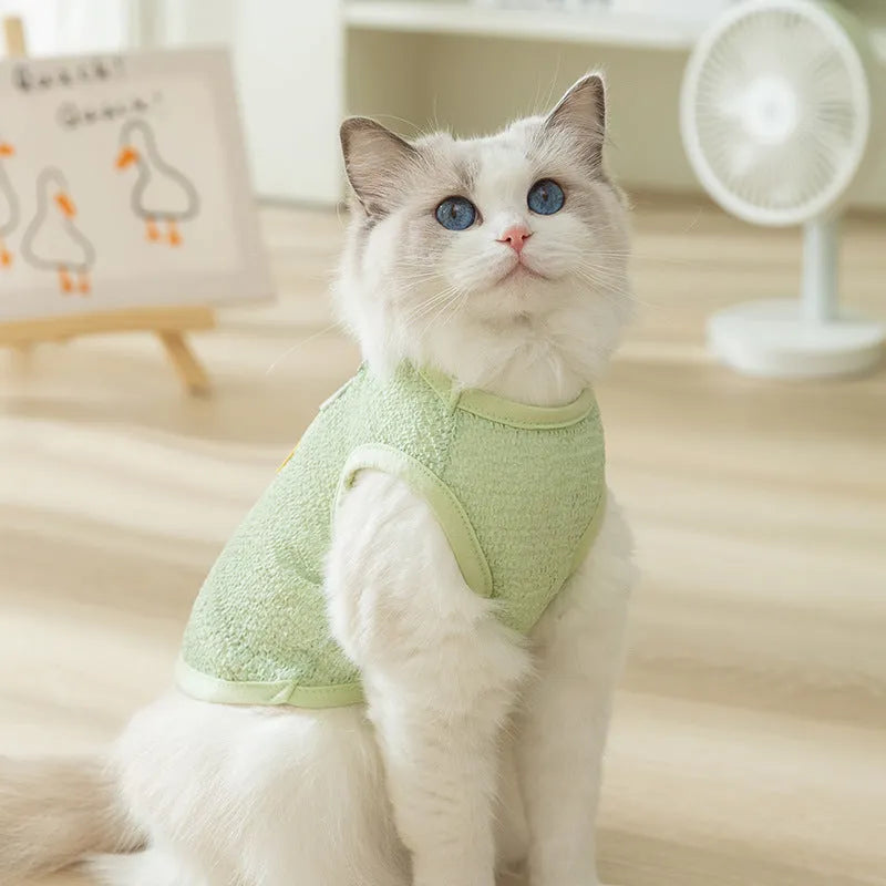 Colourful knitted cat clothes with a bear patch, showing hollowed-out breathable fabric.