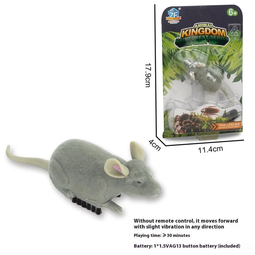 Electric vibration pet toy in four animal designs: cockroach, tarantula, mouse, and dragonfly