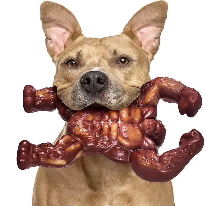 Scarlet nylon beef-flavour dog chew toy for molar nibbling measuring 10.7cm