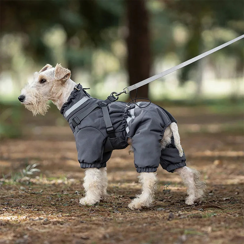 Four-leg dog cotton-padded jacket in Oxford fabric, khaki colour, worn on a dog, size M, for winter warmth