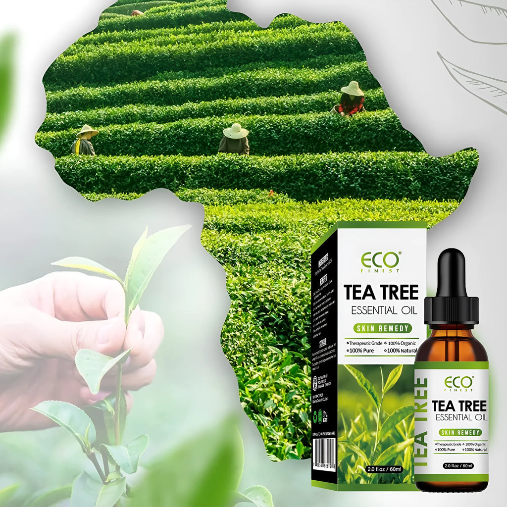 60ml bottle of pure tea tree essential oil for acne treatment and skin care