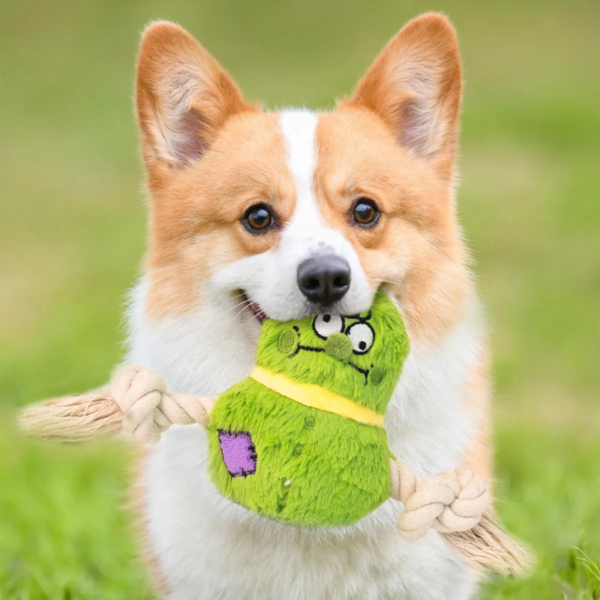 Green interactive plush rope knot dog toy shaped like a bb with molar tooth texture for tug of war.