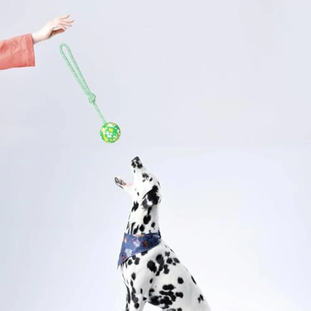 Natural rubber dog ball attached to a nylon rope for fetch and tug play.