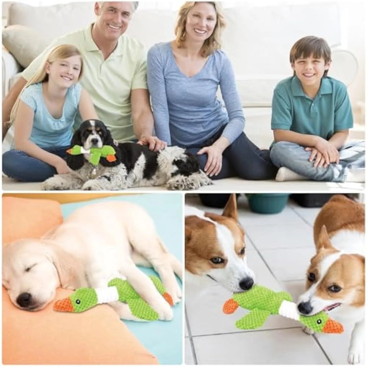 Blue duck plush dog squeaky toy with dual squeakers measuring 33cm for teething puppies
