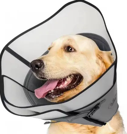 Adjustable polyester pet recovery collar in casual style, shown in L, M, and XL sizes.