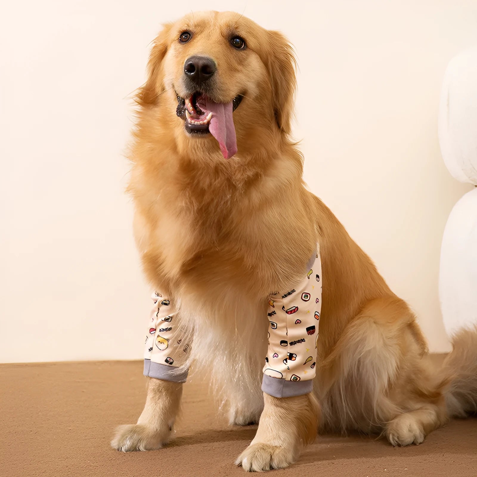 Adjustable dog knee protector pad with elbow padding and matching scarf in blue colour