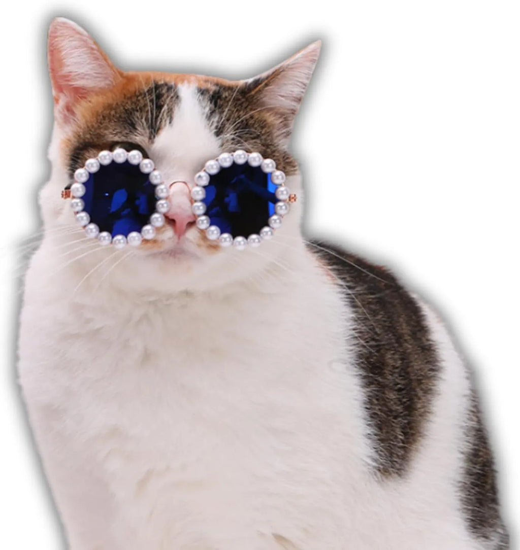 Pearl-rimmed round sunglasses for pets on cat and dog with black, blue, coffee, orange and purple colour options