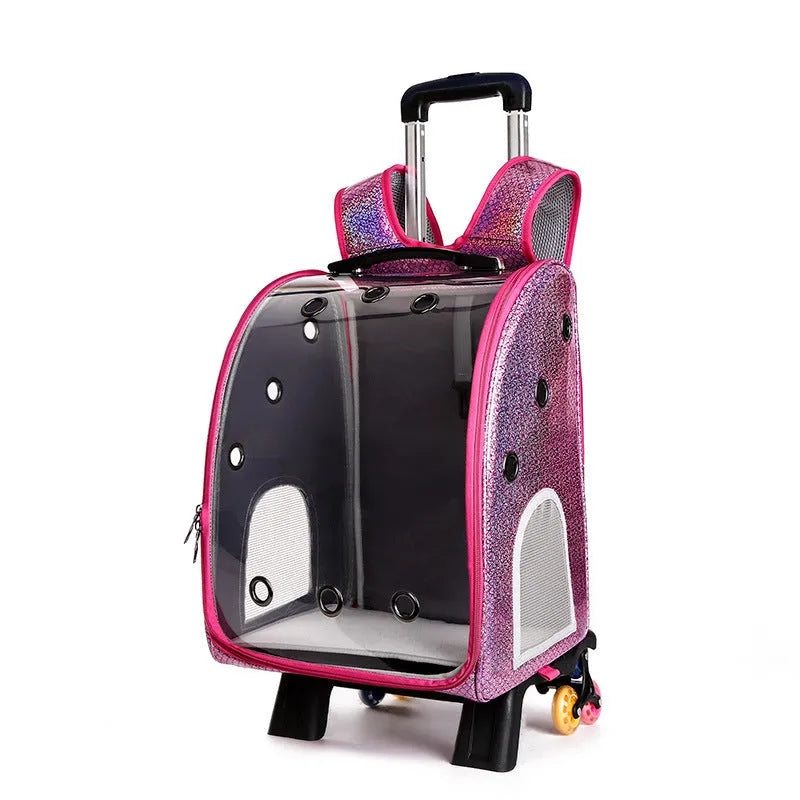 Transparent pet trolley bag with folding design and shoulder strap for small dogs
