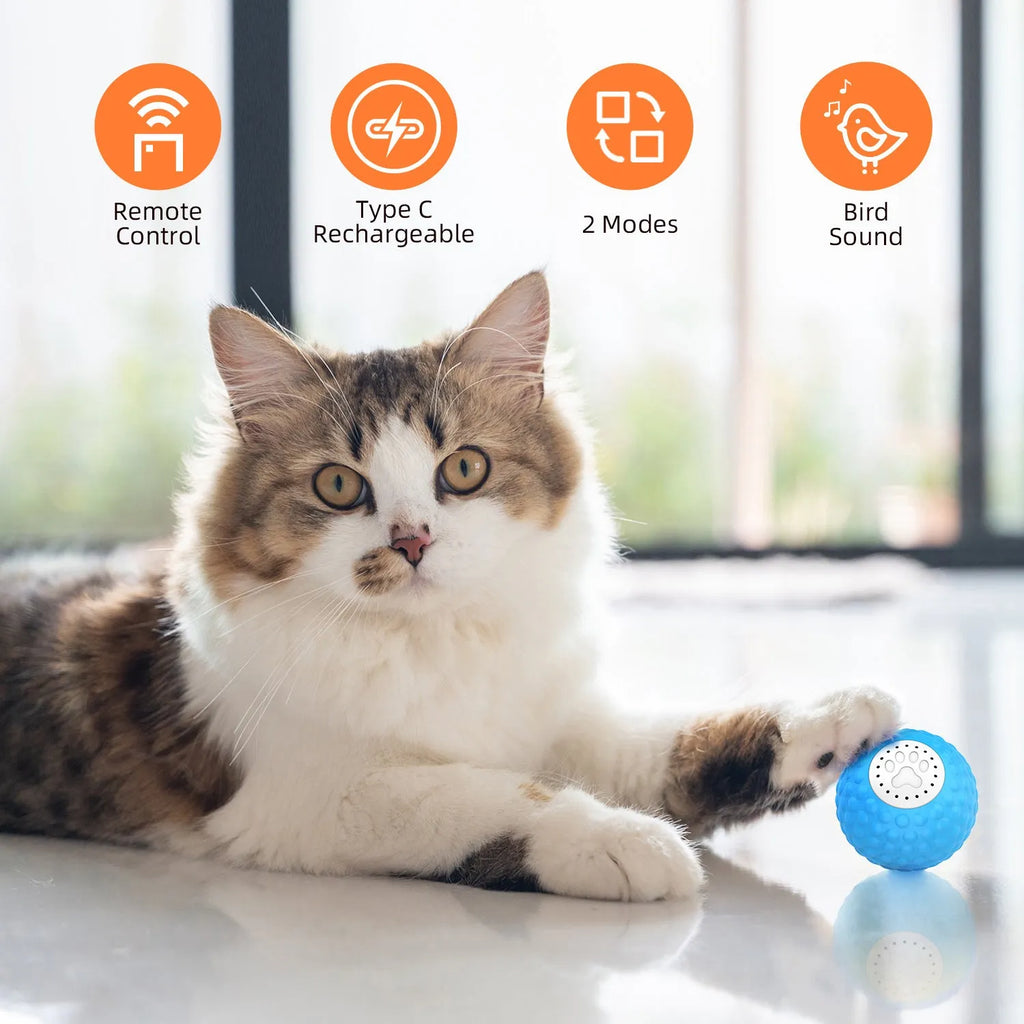 Blue smart interactive cat toy ball with remote control on a wooden floor