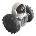 Self-balancing roller dog treat puzzle toy for small dogs and cats in assorted colours.