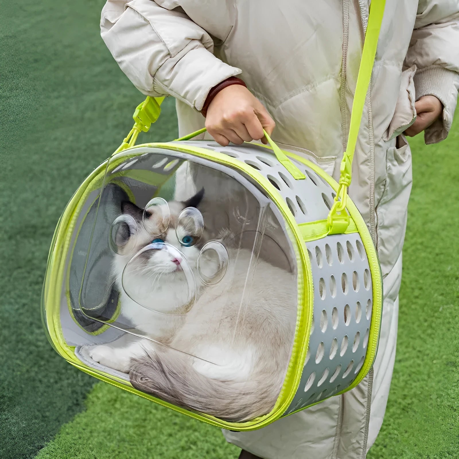 Hard-shell transparent cat carrier backpack in grass green colour, showing large space capsule design.