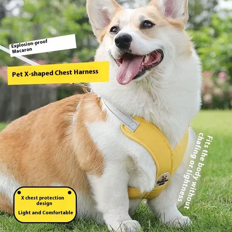 Polyester dog vest and matching hand holding rope leash set in blue, green, pink, or yellow.