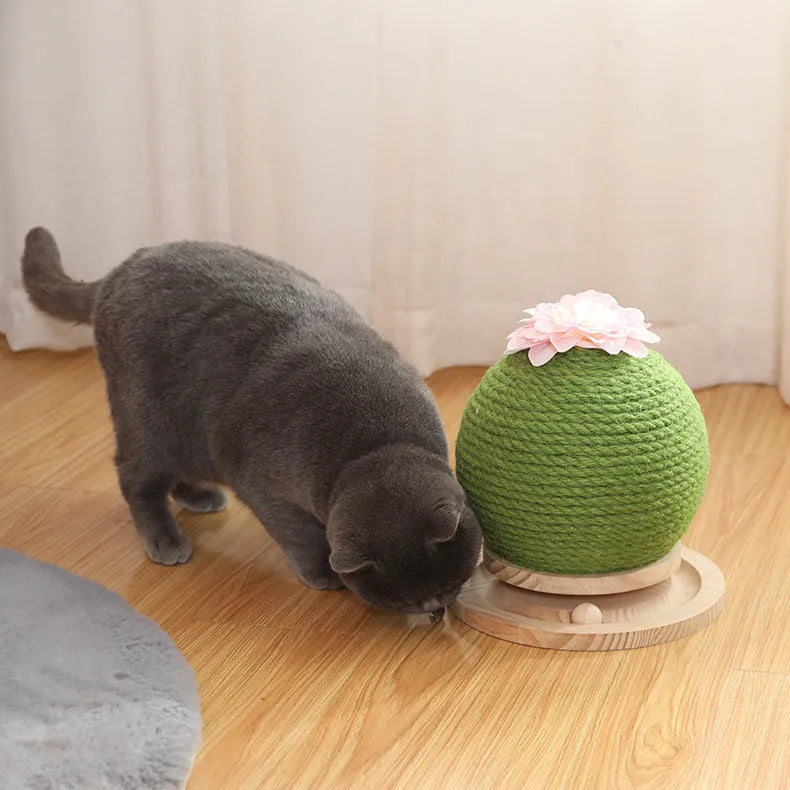 Cactus-shaped vocal cat toy with grinding paw surface and three colour options on a floor