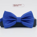 Solid colour polyester bow tie with flat head design measuring 12cm by 6cm