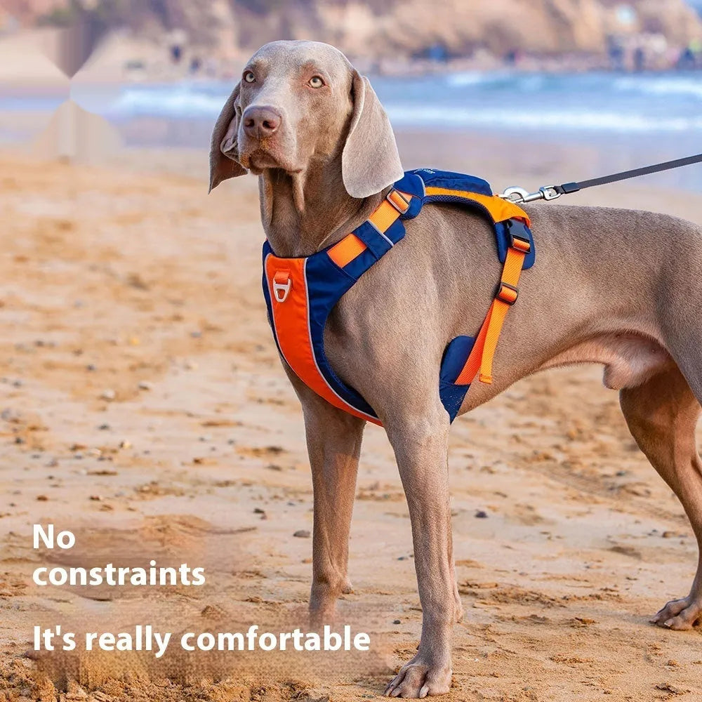 Orange blue nylon dog chest strap vest harness with leash for medium-sized dogs