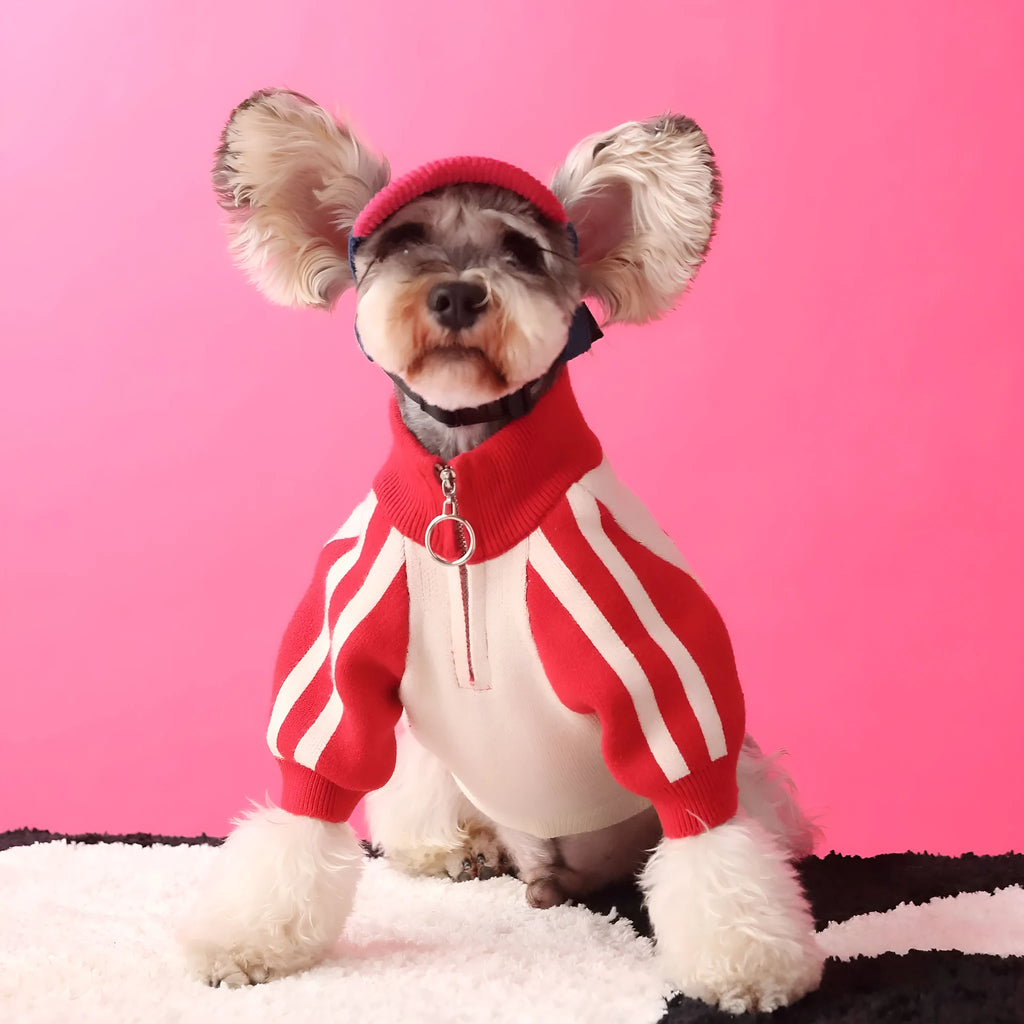 Red wool sports sweater cardigan for a dog on a grey background, size label shown.