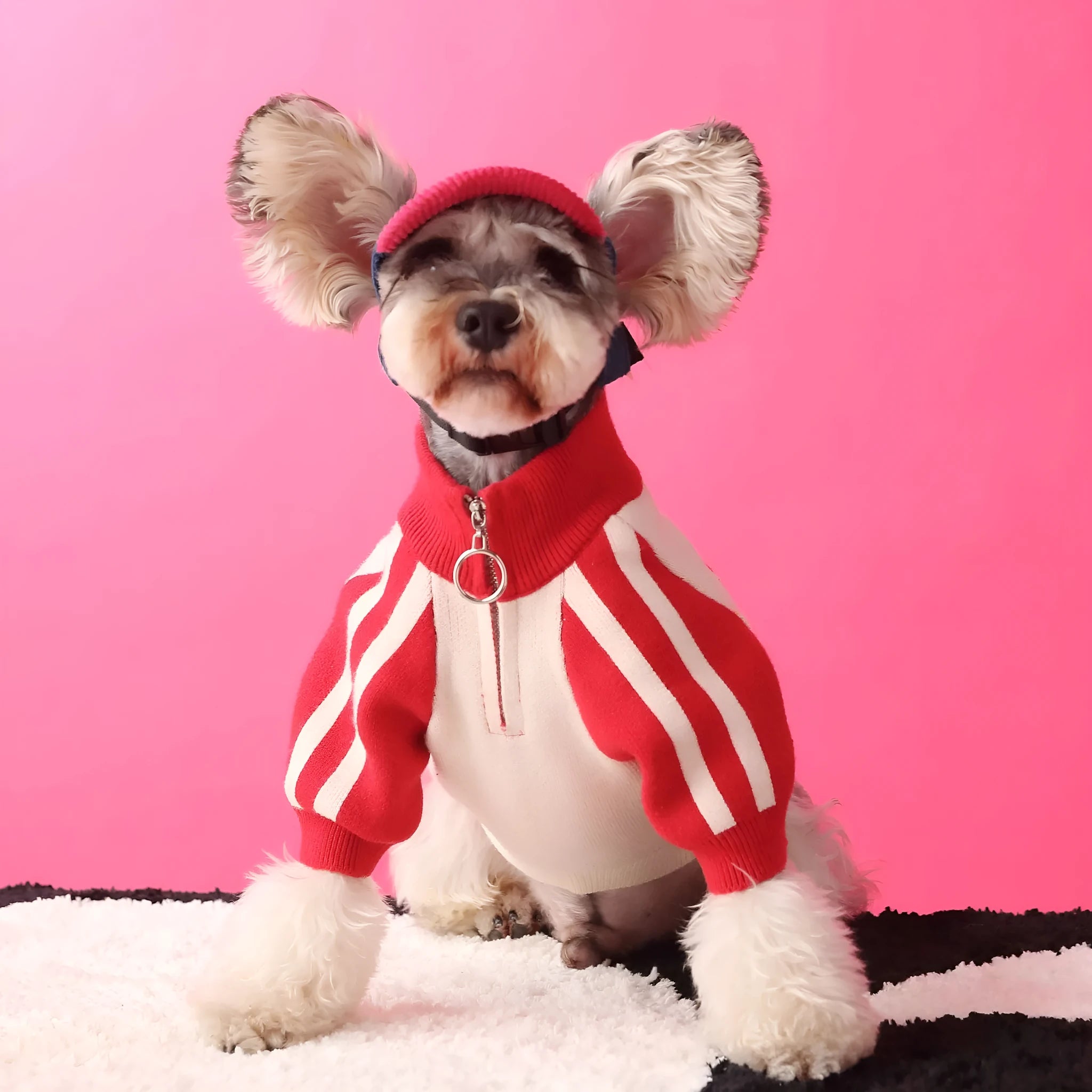 Red wool sports sweater cardigan for a dog on a grey background, size label shown.
