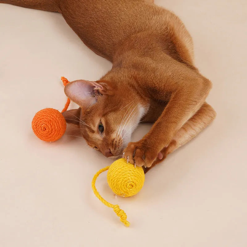 Cat toy set with teaser stick and coloured catnip balls on white background