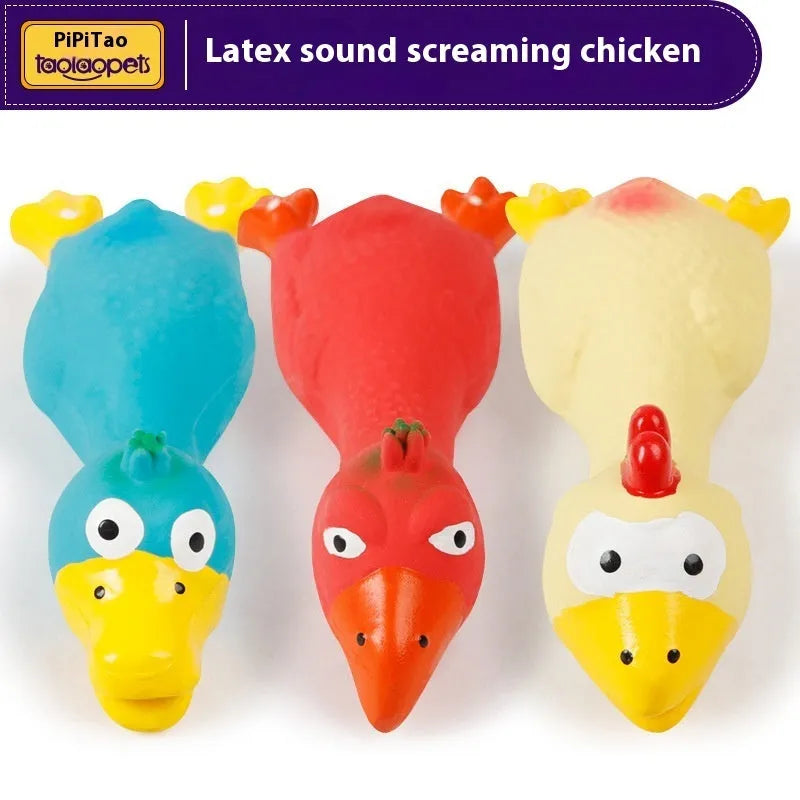 Squeaky latex duck pet sound toy in red, blue, and yellow