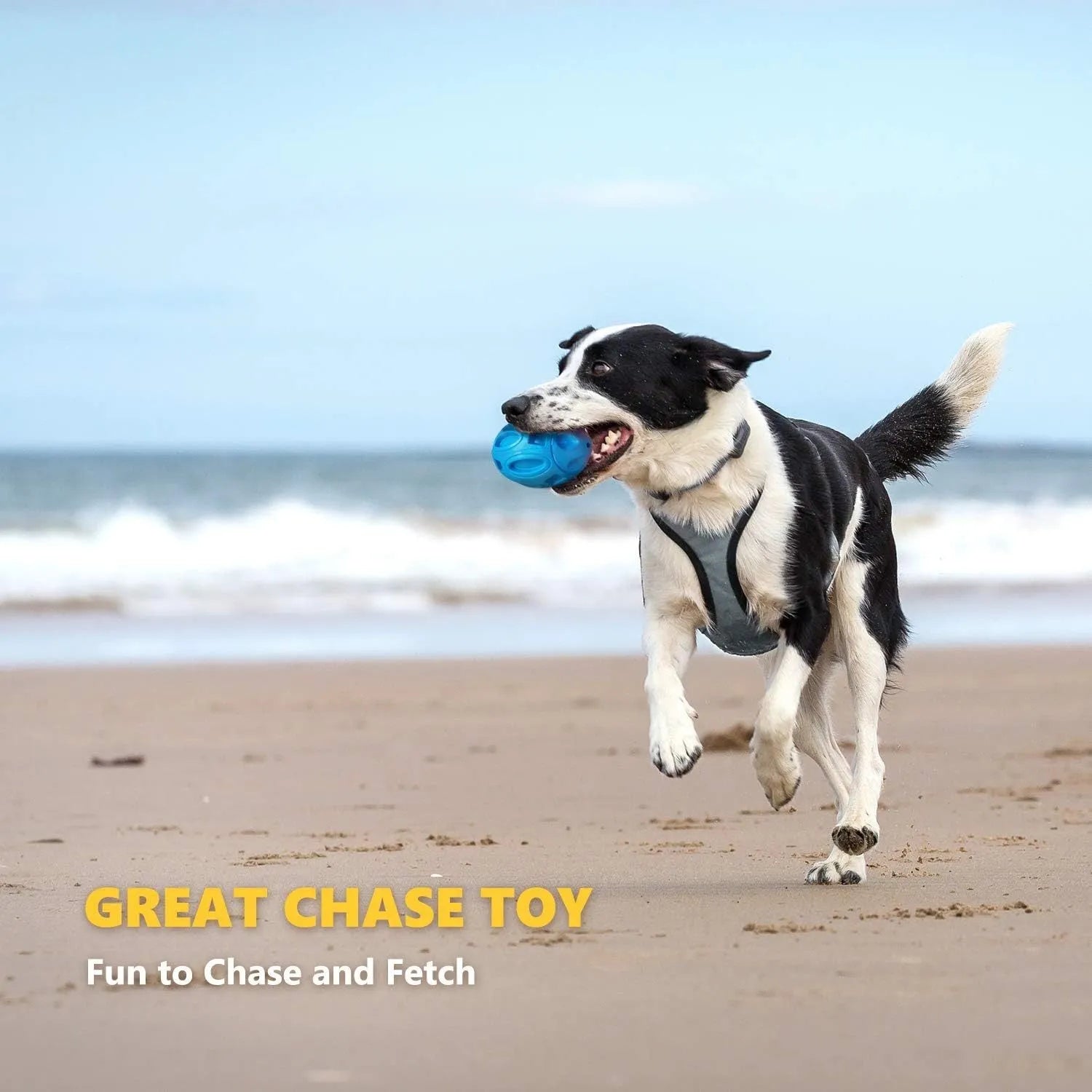 Blue green orange squeaky dog chew ball for medium large breed aggressive chewers
