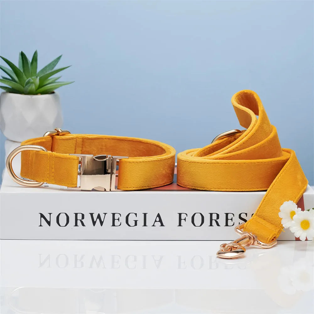 Wool striped dog collar and leash set in coral orange with anti-lost engraving on white background