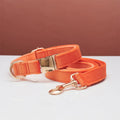 Wool striped dog collar and leash set in coral orange with anti-lost engraving on white background