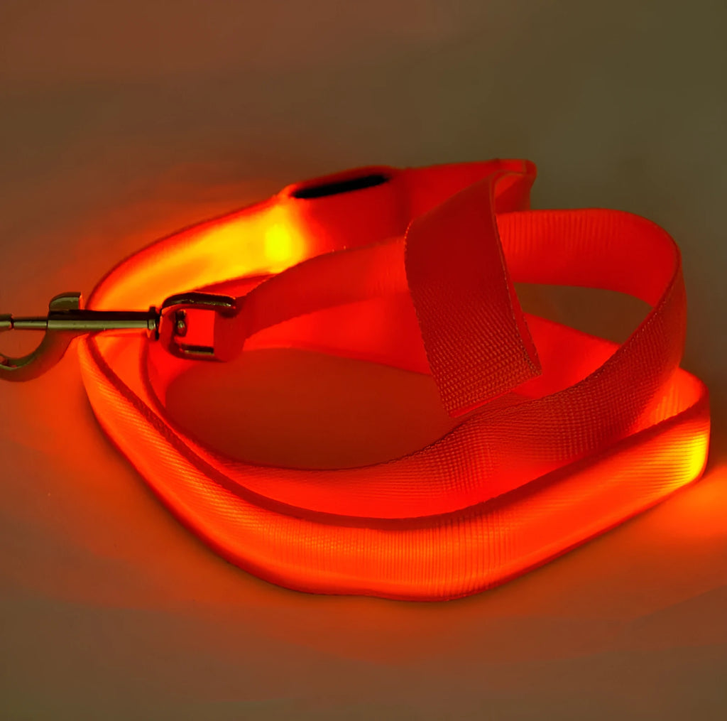Glowing LED dog leash in blue colour with nylon webbing and buckle clip on a dark background