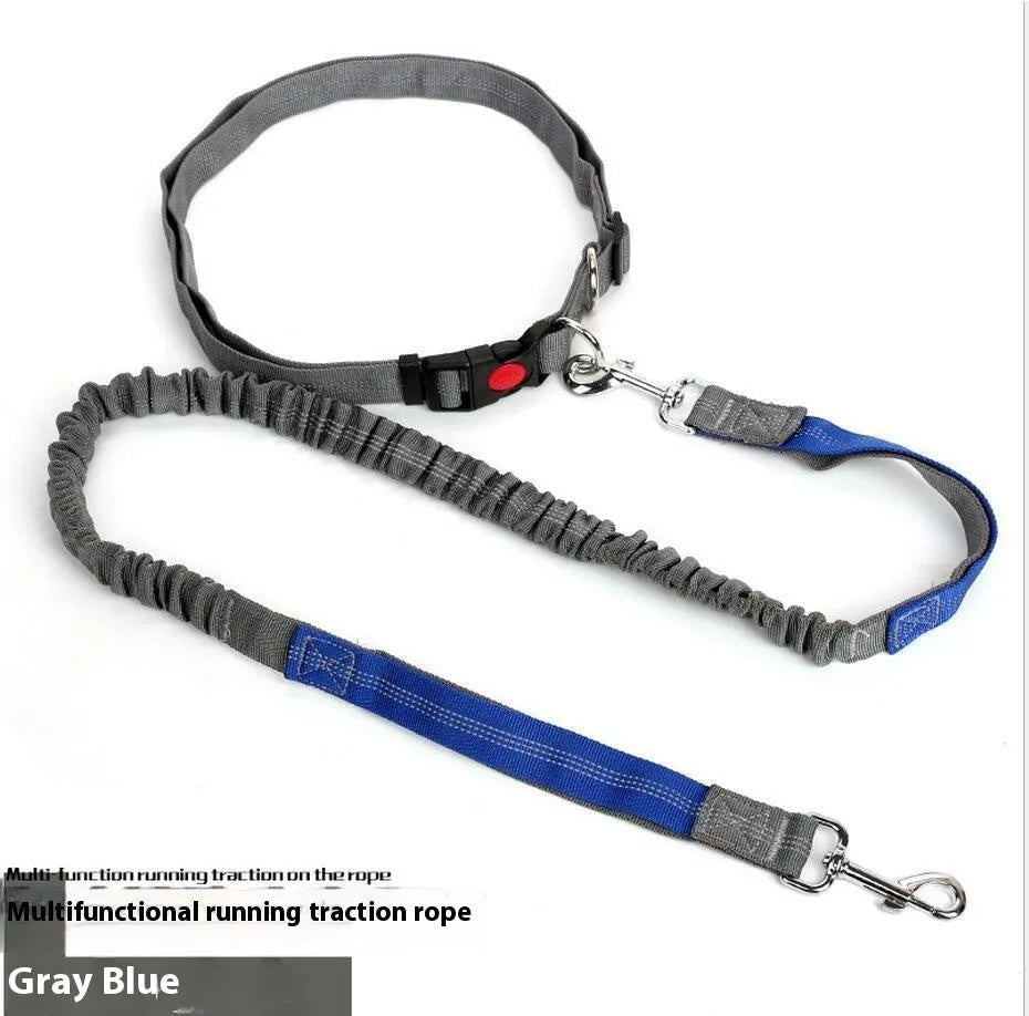 Two-tone reflective dog leash with elastic sling section for outdoor running