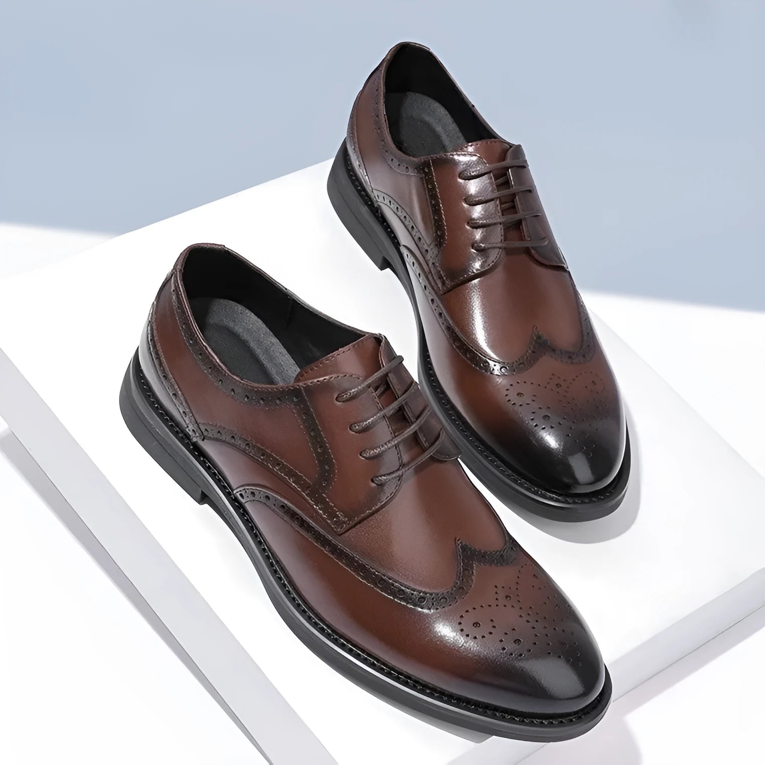 Men's black and brown brogue formal shoes with wingtip perforations, shown on a plain background.