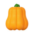 Orange plastic pumpkin-shaped dog toy with rope attached for throwing