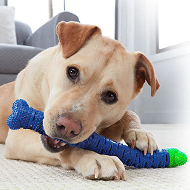 Blue and green dog dental chew toy with textured brush head and massage nodules for teeth cleaning and gum care.